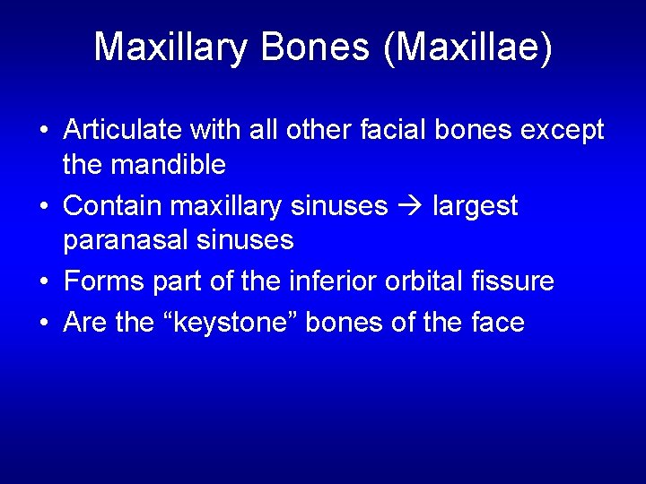 Maxillary Bones (Maxillae) • Articulate with all other facial bones except the mandible •