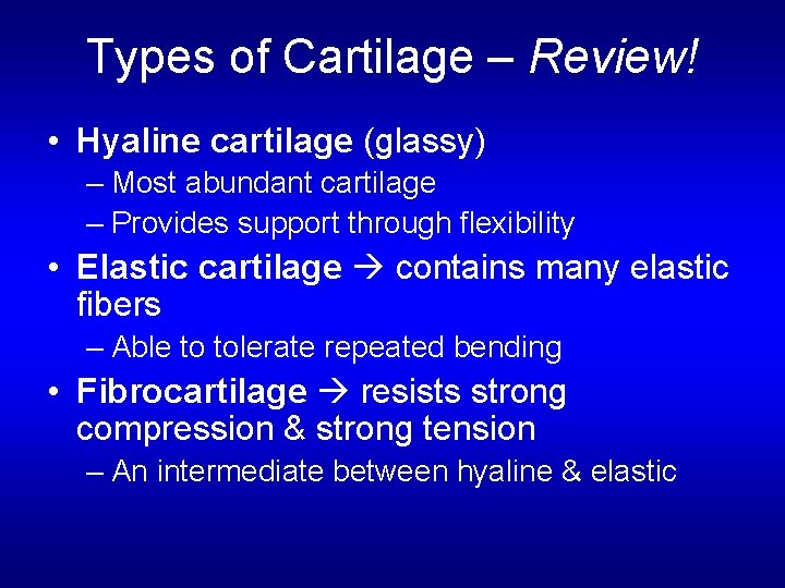Types of Cartilage – Review! • Hyaline cartilage (glassy) – Most abundant cartilage –