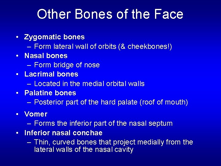 Other Bones of the Face • Zygomatic bones – Form lateral wall of orbits