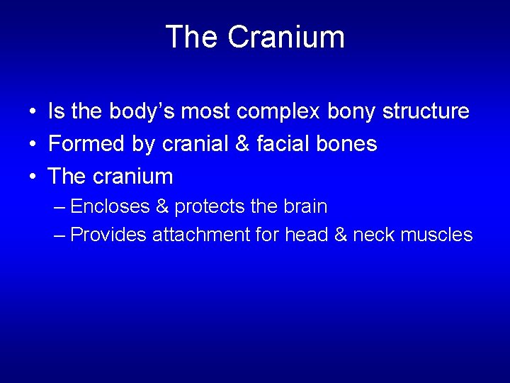 The Cranium • Is the body’s most complex bony structure • Formed by cranial