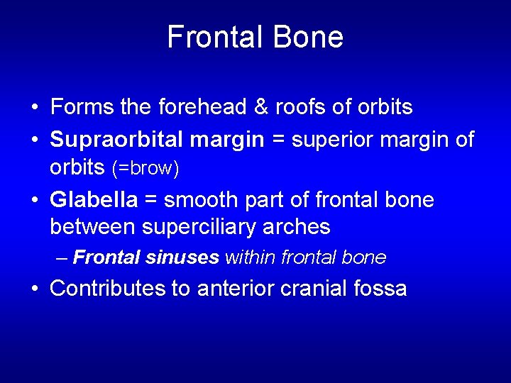 Frontal Bone • Forms the forehead & roofs of orbits • Supraorbital margin =