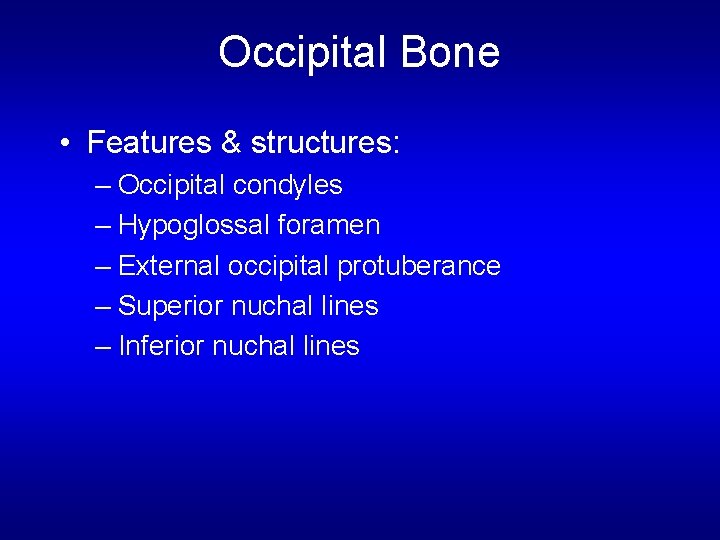 Occipital Bone • Features & structures: – Occipital condyles – Hypoglossal foramen – External