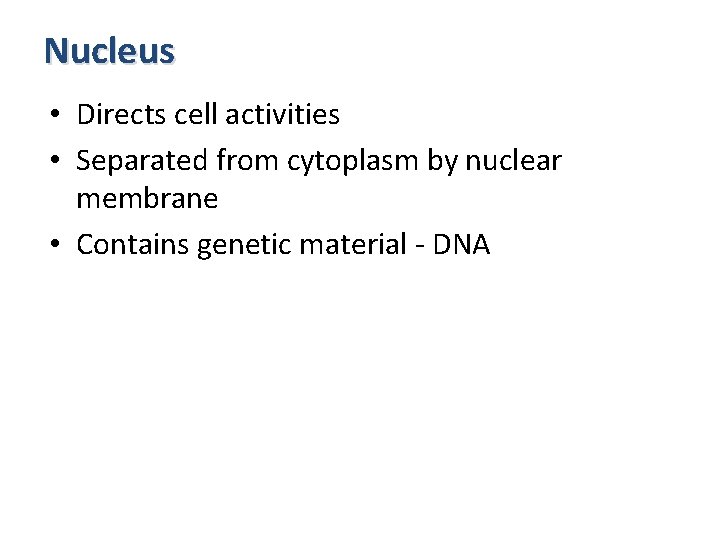 Nucleus • Directs cell activities • Separated from cytoplasm by nuclear membrane • Contains
