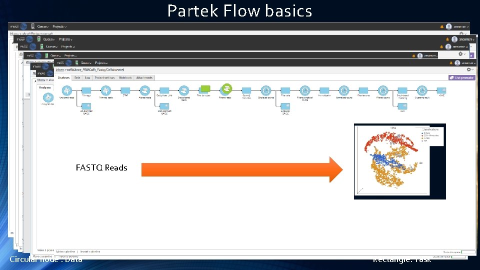 Partek Flow basics FASTQ Reads Circular node : Data Rectangle: Task 