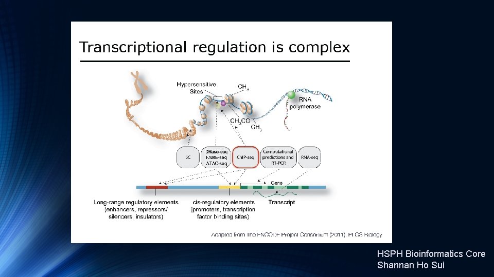 HSPH Bioinformatics Core Shannan Ho Sui 