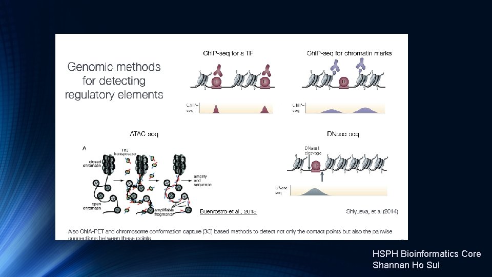 HSPH Bioinformatics Core Shannan Ho Sui 