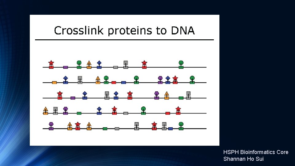 HSPH Bioinformatics Core Shannan Ho Sui 
