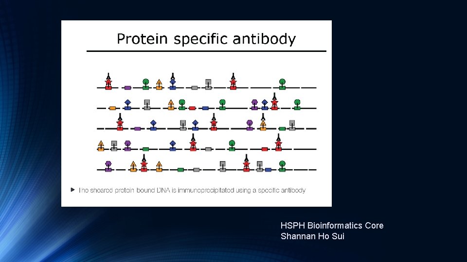 HSPH Bioinformatics Core Shannan Ho Sui 