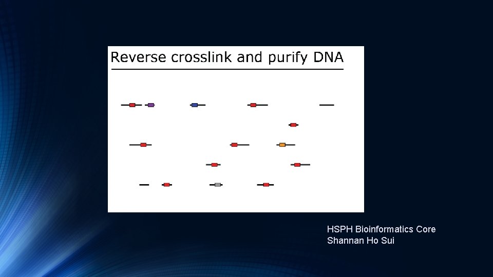 HSPH Bioinformatics Core Shannan Ho Sui 