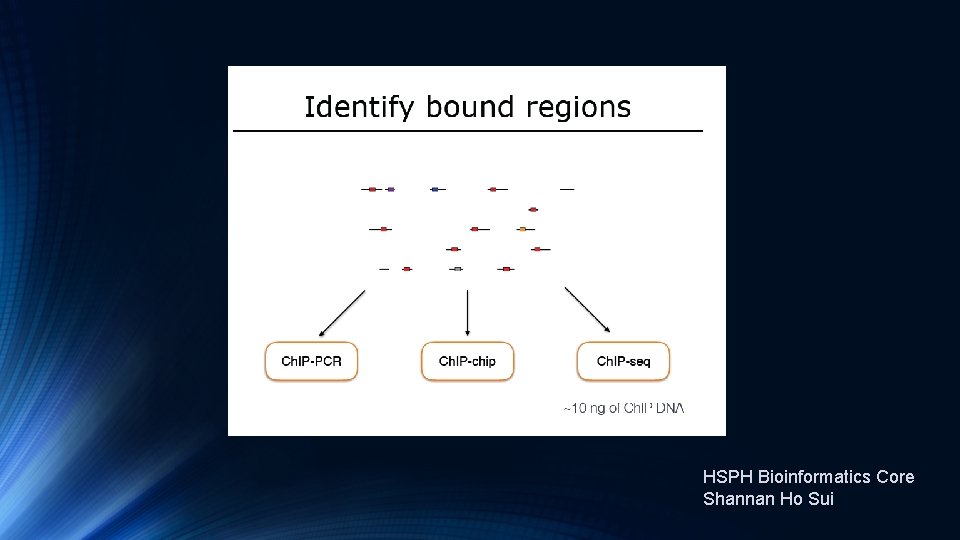 HSPH Bioinformatics Core Shannan Ho Sui 