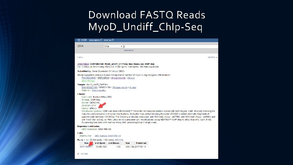 Download FASTQ Reads Myo. D_Undiff_Ch. Ip-Seq 