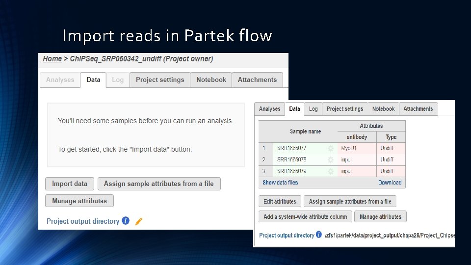 Import reads in Partek flow 