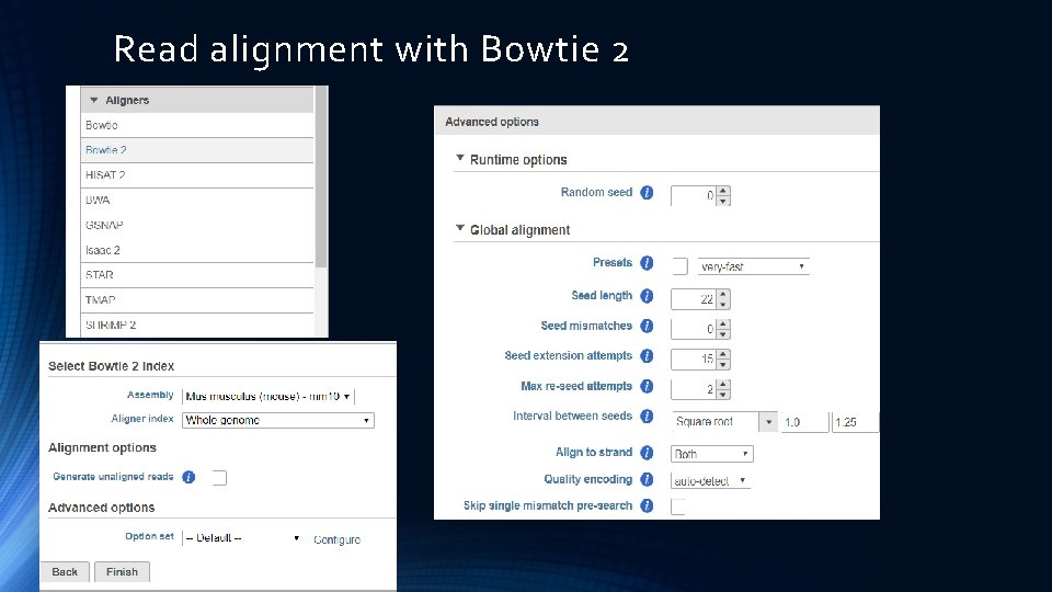 Read alignment with Bowtie 2 