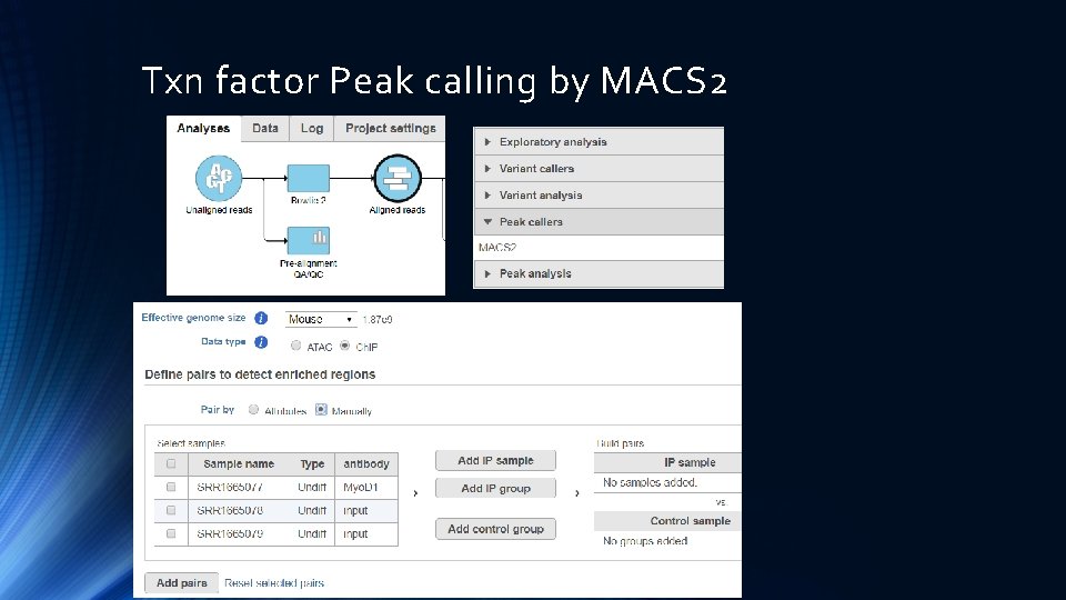 Txn factor Peak calling by MACS 2 