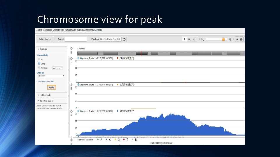 Chromosome view for peak 