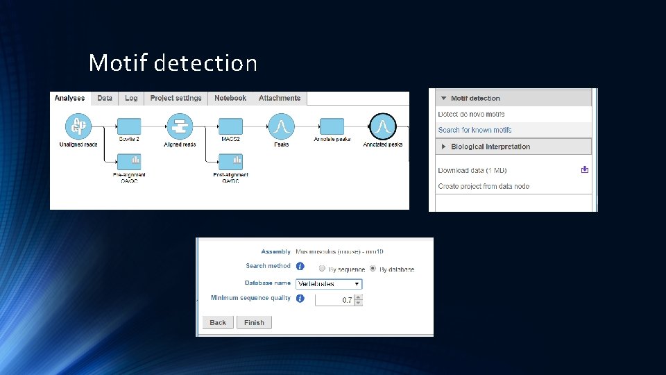 Motif detection 