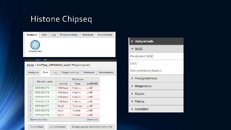 Histone Chipseq 