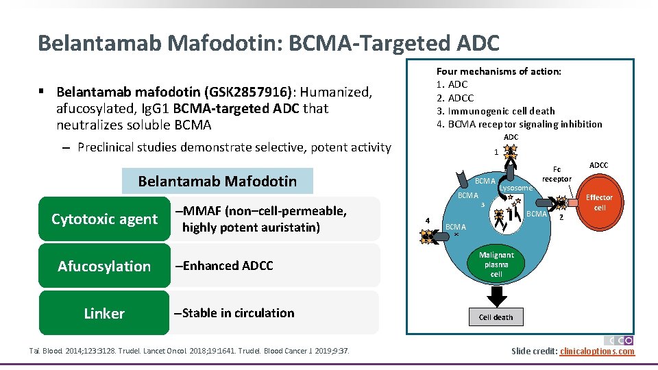 Belantamab Mafodotin: BCMA-Targeted ADC Four mechanisms of action: 1. ADC 2. ADCC 3. Immunogenic