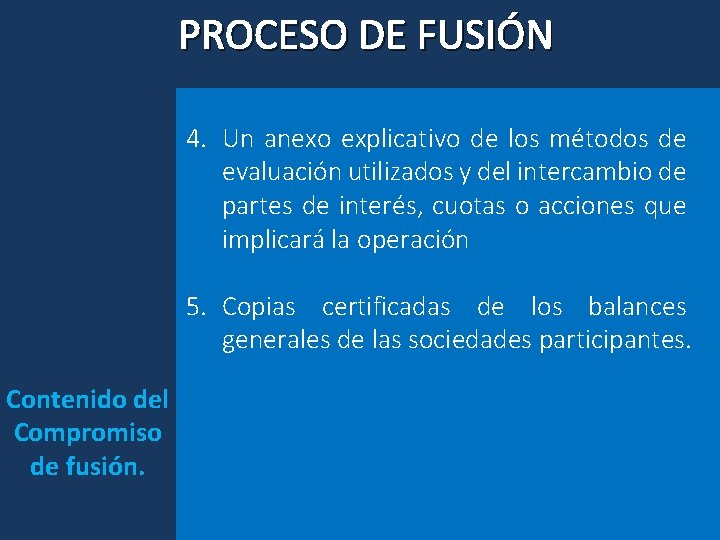 PROCESO DE FUSIÓN 4. Un anexo explicativo de los métodos de evaluación utilizados y