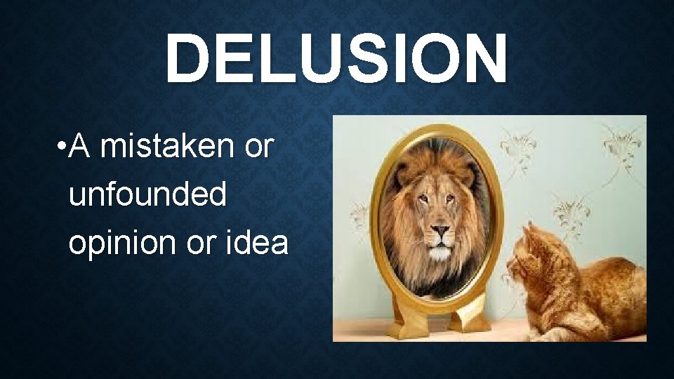 DELUSION • A mistaken or unfounded opinion or idea 