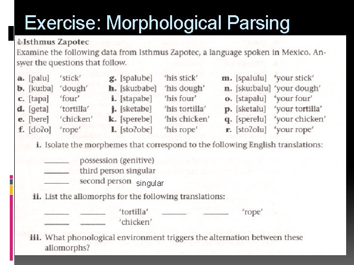 Exercise: Morphological Parsingular 