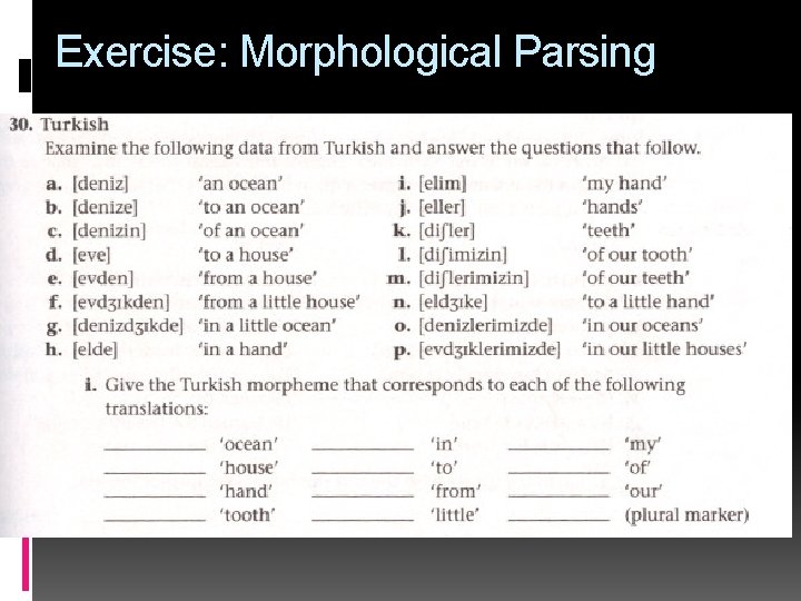 Exercise: Morphological Parsingular 