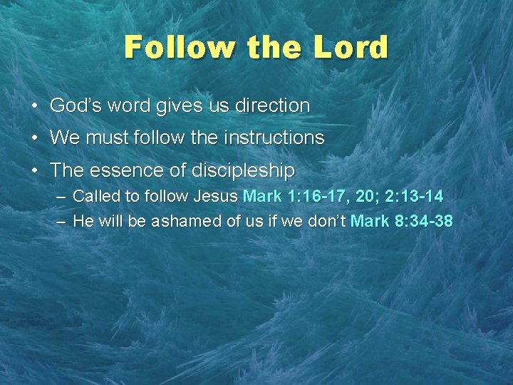 Follow the Lord • God’s word gives us direction • We must follow the