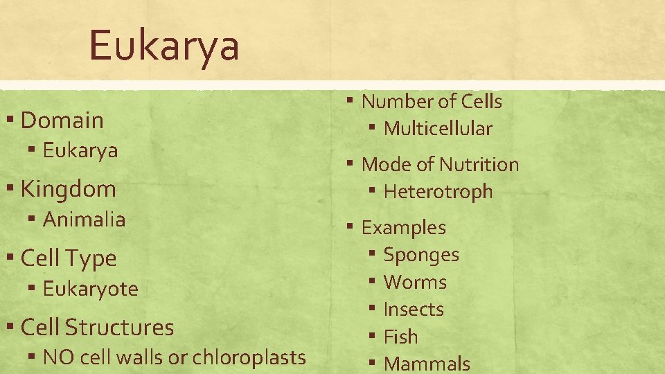 Eukarya ▪ Domain ▪ Eukarya ▪ Kingdom ▪ Animalia ▪ Cell Type ▪ Eukaryote