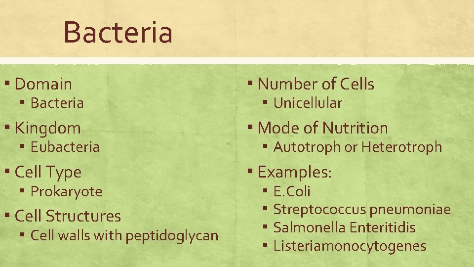 Bacteria ▪ Domain ▪ Bacteria ▪ Kingdom ▪ Eubacteria ▪ Cell Type ▪ Prokaryote