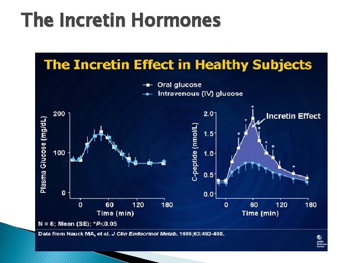 The Incretin Hormones 