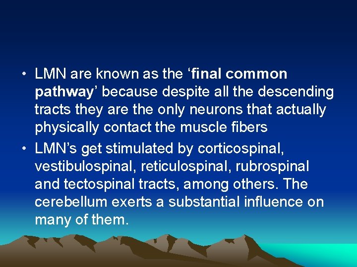  • LMN are known as the ‘final common pathway’ because despite all the