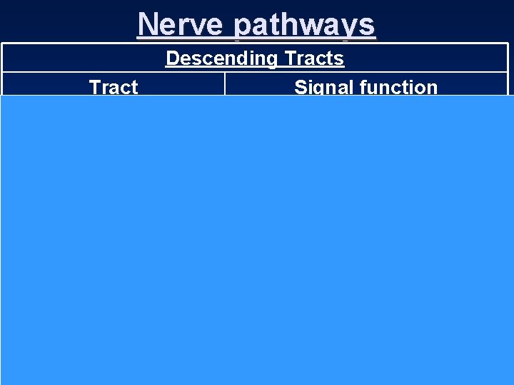 Nerve pathways Descending Tracts Signal function Tract Corticospinal (pyramidal) Fine voluntary motor control of