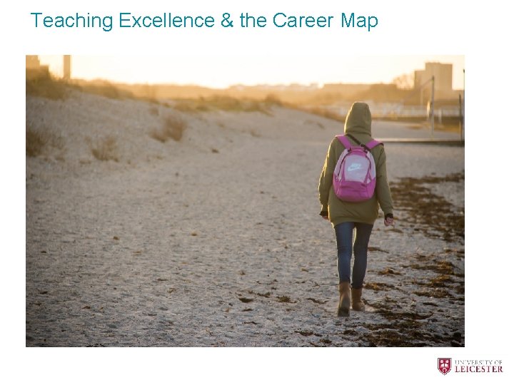 Teaching Excellence & the Career Map Long haul cartoon 