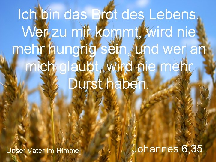 Ich bin das Brot des Lebens. Wer zu mir kommt, wird nie mehr hungrig