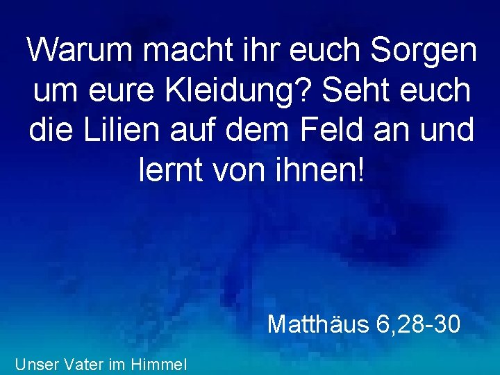 Warum macht ihr euch Sorgen um eure Kleidung? Seht euch die Lilien auf dem