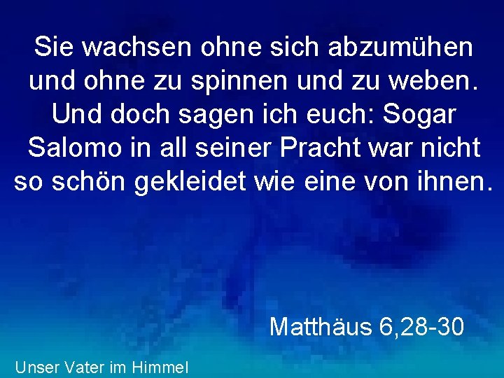 Sie wachsen ohne sich abzumühen und ohne zu spinnen und zu weben. Und doch