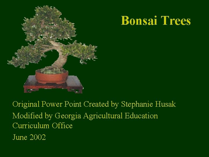 Bonsai Trees Original Power Point Created by Stephanie Husak Modified by Georgia Agricultural Education