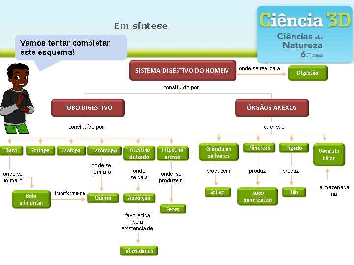 Em síntese Vamos tentar completar este esquema! SISTEMA DIGESTIVO DO HOMEM onde se realiza