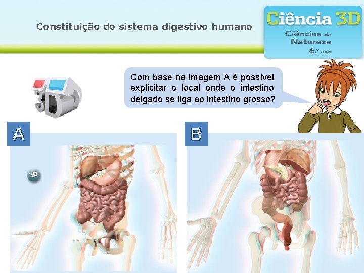 Constituição do sistema digestivo humano Com base na imagem A é possível explicitar o