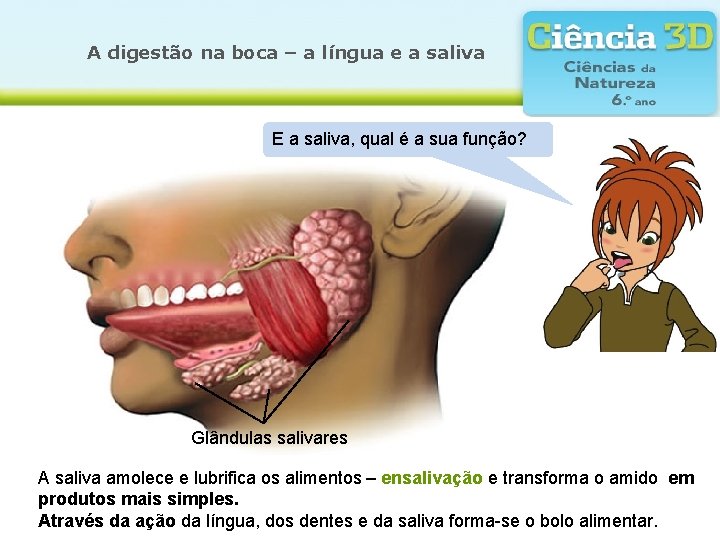 A digestão na boca – a língua e a saliva E a saliva, qual