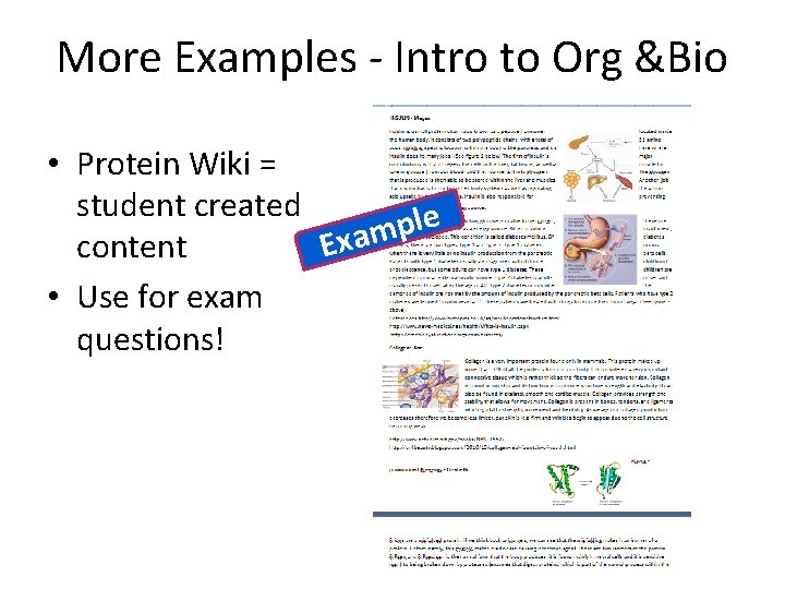 More Examples - Intro to Org &Bio • Protein Wiki = student created e