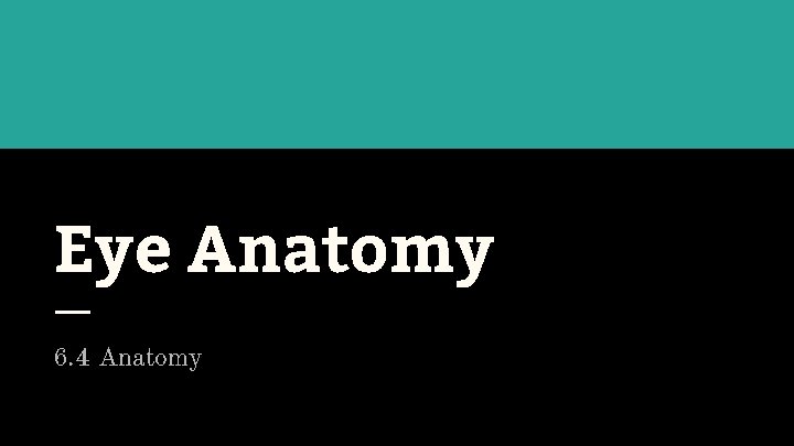 Eye Anatomy 6. 4 Anatomy 