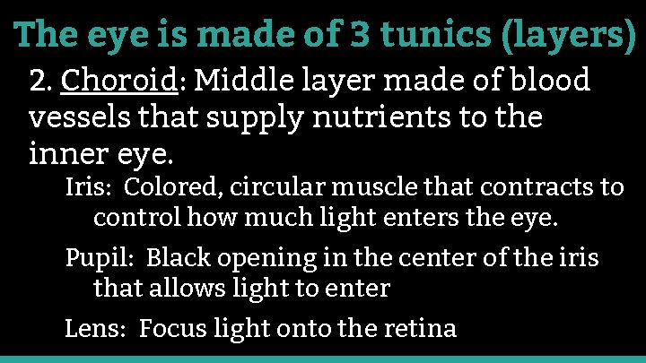 The eye is made of 3 tunics (layers) 2. Choroid: Middle layer made of