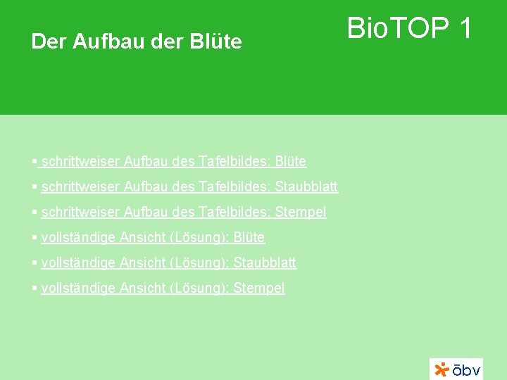 Der Aufbau der Blüte § schrittweiser Aufbau des Tafelbildes: Staubblatt § schrittweiser Aufbau des