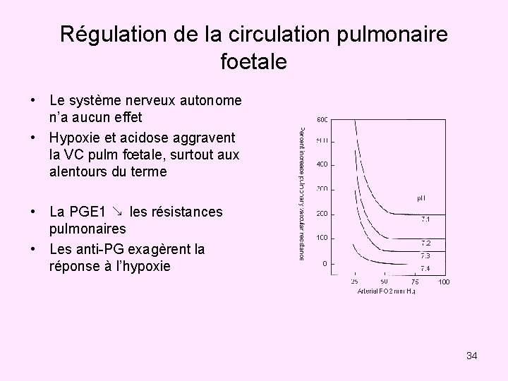 Régulation de la circulation pulmonaire foetale • Le système nerveux autonome n’a aucun effet