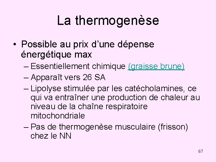La thermogenèse • Possible au prix d’une dépense énergétique max – Essentiellement chimique (graisse