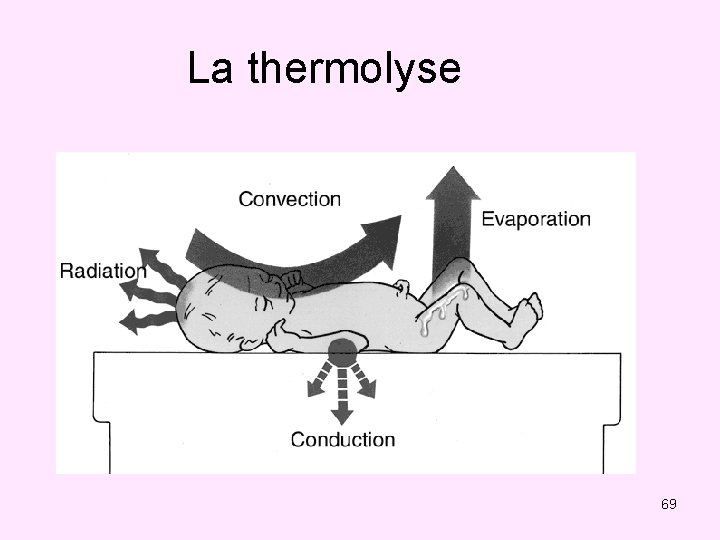 La thermolyse 69 