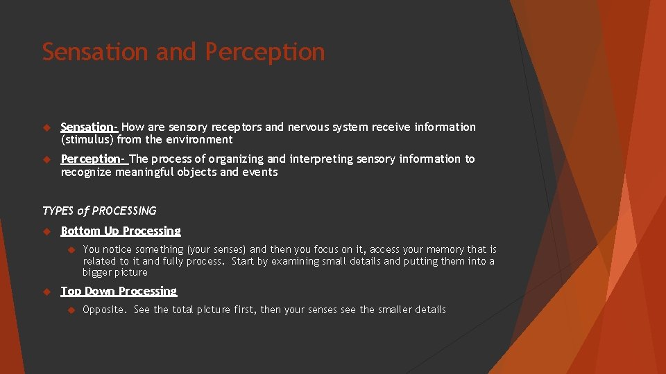 Sensation and Perception Sensation- How are sensory receptors and nervous system receive information (stimulus)