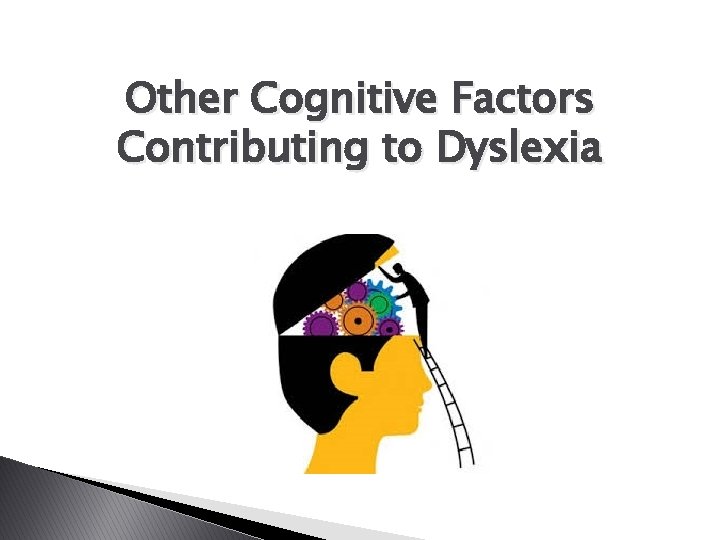 Other Cognitive Factors Contributing to Dyslexia 