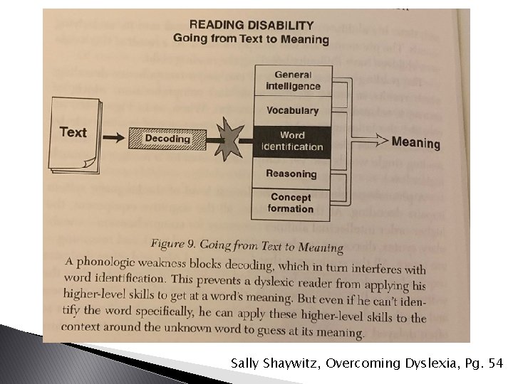 Sally Shaywitz, Overcoming Dyslexia, Pg. 54 